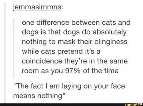 Reason simple, for most car they don't feel the difference so this. Jemmasimmns: one difference between cats and dogs is that ...