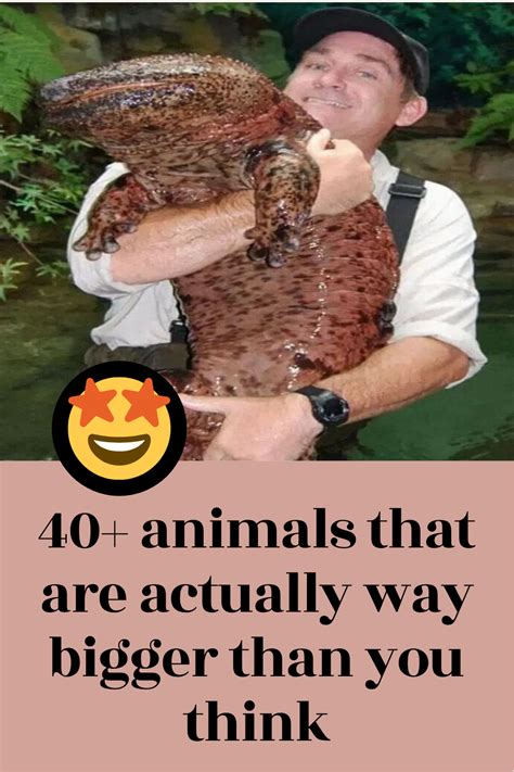 40 Animals That Are Actually Way Bigger Than You Think Fun Facts