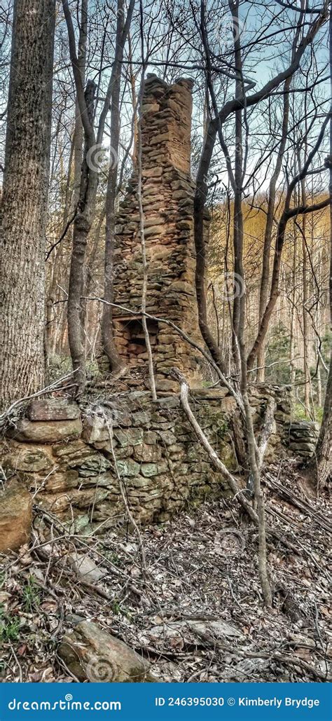 Chimney Left Standing From An Old Homestead Stock Photo Image Of