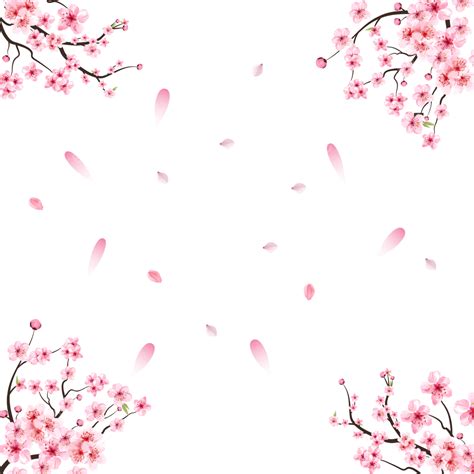 Sakura Cherry Blossom Vector Art Png Cherry Blossom Png With Pink Sakura Flower Vector Leaf
