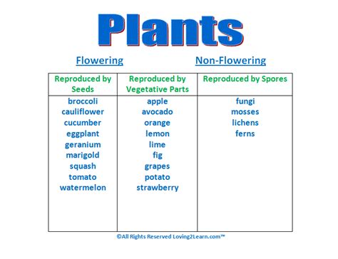 Super Subjects Super Science Life Science Seeds Plants And Trees