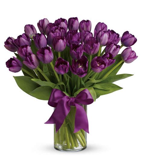 Passionate Purple Tulips Spr14ta Canada Flowers