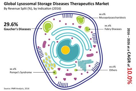 Lysosomal Storage Diseases Market To Register Cagr 10