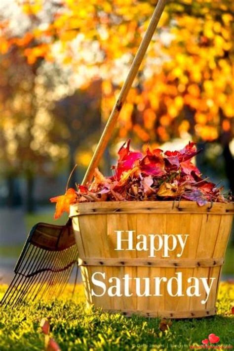 Happy Saturday My Friends Download For Free Nice Beautiful Pictures