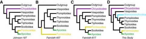 Phylogenomic Insights Into The Evolution Of Stinging Wasps And The