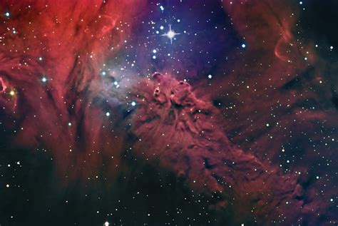 The Fox Fur Nebula Astronomy Magazine Interactive Star Charts