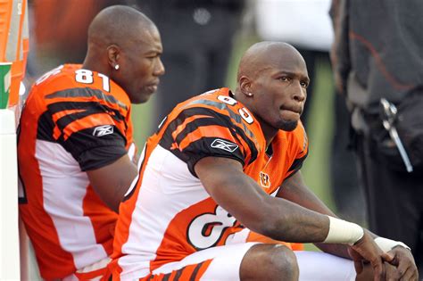 Terrell Owens To Bengals You Might Want To Re Sign Chad Johnson To Be