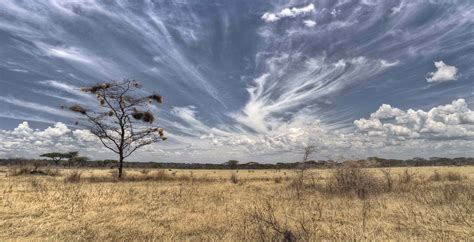 Bespoke Safaris In Serengeti National Park Tanzania Journeys By Design