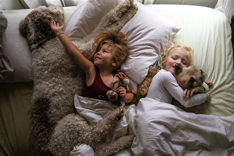 Girls Snuggling In Bed With Dogs In Morning Light Photograph By Cavan