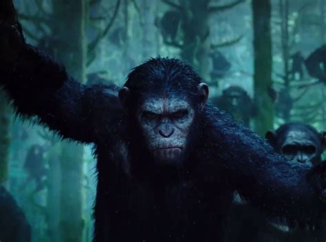 Dawn Of The Planet Of The Apes From 2014 Summer Movies Action