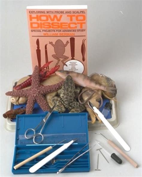 Advanced Dissection Kit Dissection Kits Dissection Science Kits