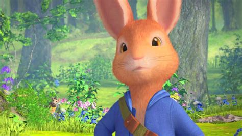 Hop Along With Peter Rabbit Springtime Collection 2 Pack Dvd