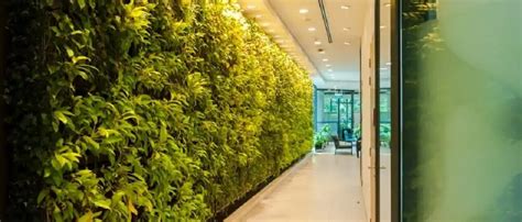 Princes Landscape Pte Ltd Now Provides Vertical Green Walls