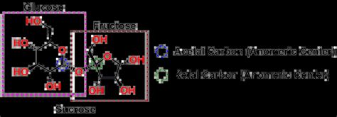 Acetals Hemiacetals Ketals And Hemiketals Organic Chemistry Explained