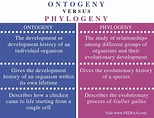 Difference Between Ontogeny and Phylogeny - Pediaa.Com
