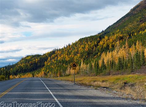 2015 09 10 Muncho Lake To Summit Lake Alaska Highway