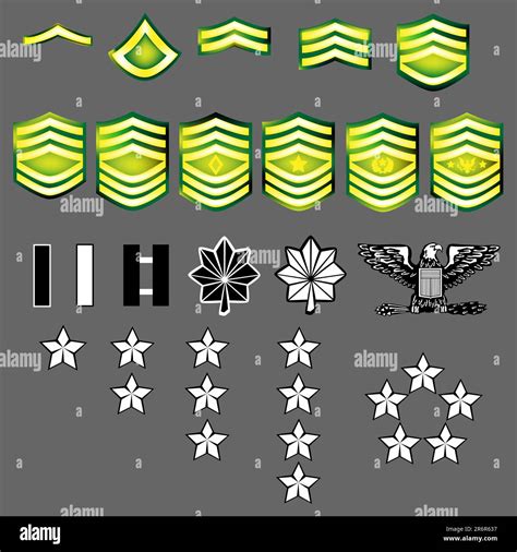 Us Army Rank Insignia For Officers And Enlisted In Vector Format With