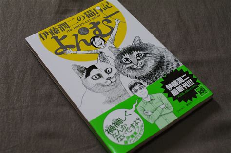Maybe you would like to learn more about one of these? 伊藤潤二の猫日記 よん＆むー | kenta ikarashi | Flickr