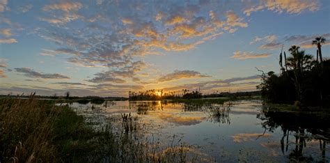 Beautiful Sunrise In Orlando Wetland Park Florida Stock Photo