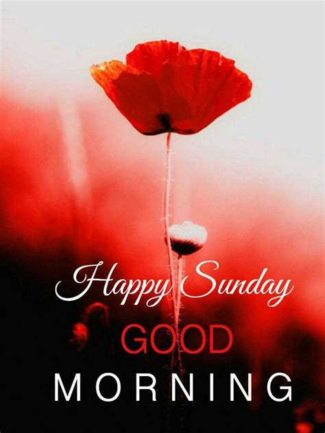 Pin By Bhavana Kaparthy On Wishes Happy Sunday Morning Happy Sunday