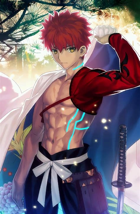 Image Emiya Shirou And Limited Zero Over Fate Grand Order Fate Stay