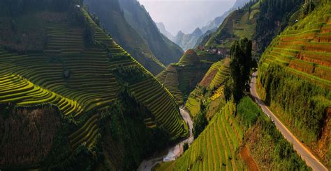 The Hillside Rice Field Terraces Of Thailand Thailand Cambodia