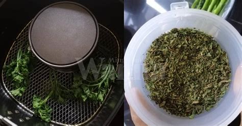 Kemudian tepuk tepuk hingga kering menggunakan tisu. Nak Beli Mahal, Buat Sendiri 'Parsley Flakes' Guna Air ...