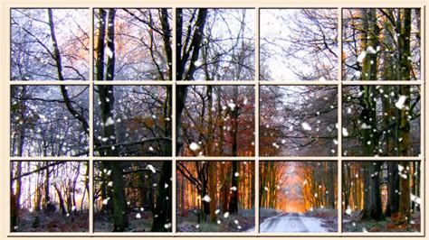 Winter Window Scene Forest Living Wallpaper With Ambient Fireplace