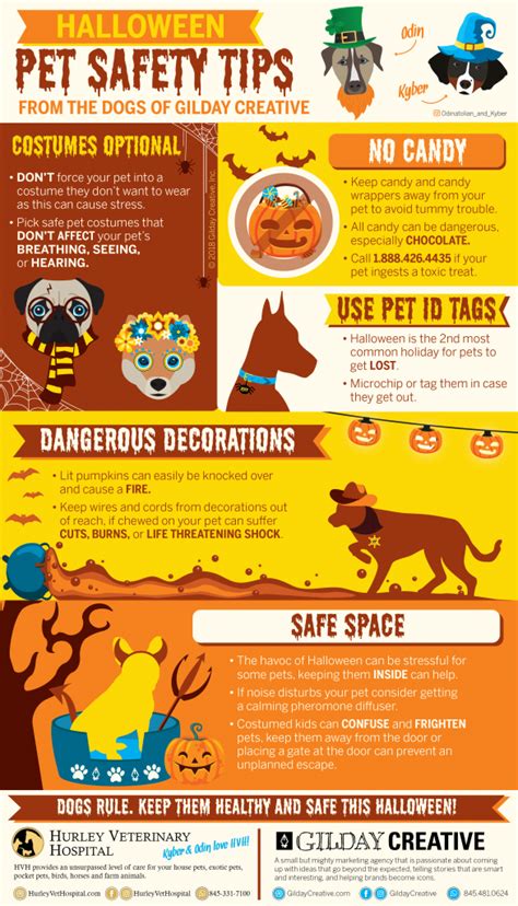 Halloween Pet Safety Infographic Designed By Gilday Creaive Inc