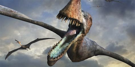 Flying Pterosaurs Were As Big As It Gets Study Finds Huffpost Uk