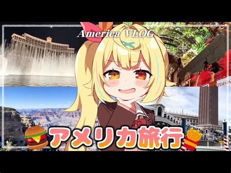 Vtuber星川サラのアメリカ旅行体験 おにぎりakiraの日記（onigiriakiradaiary