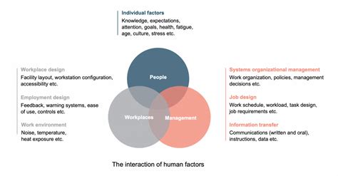 Human Factors In Safety Types Examples And Solutions