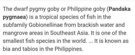 Ano Ang Pandaka Pygmaea Filipino Po Iyan Brainlyph