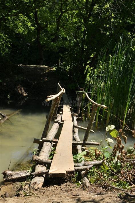 Fairy Tale Bridge In The Forest On A Swamp Stock Image Image Of