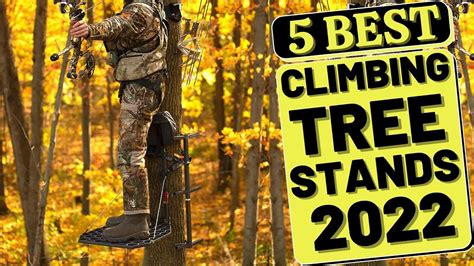 Top 5 Best Climbing Tree Stand For Bow Hunting 2022 💥 Youtube