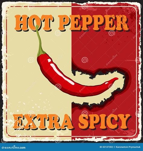 Vintage Extra Spicy Poster Chili Pepper Vector Stock Vector Image