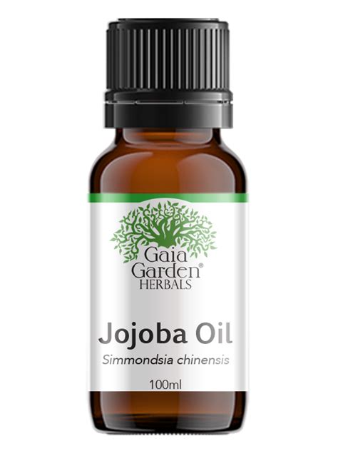 Jojoba oil offers powerful moisturizing and regenerative properties. Jojoba - Carrier Oil - Gaia Garden Herbal Dispensary