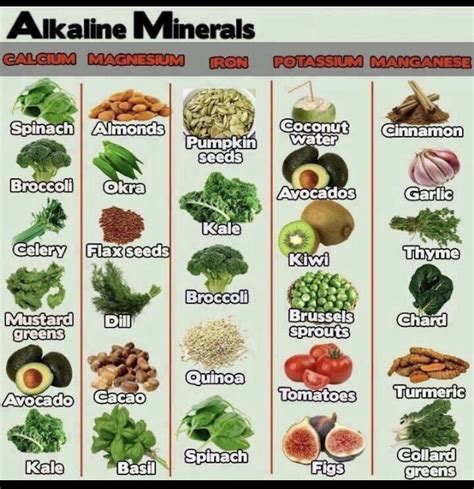 Dr Sebi Alkaline Food Alkaline Diet Plan Alkaline Diet Recipes Alkaline Foods Chart Alkaline