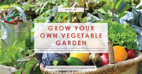 The end result is fresh produce to eat, share, or sell. Tips for Growing a Vegetable Garden | Living Well Spending ...