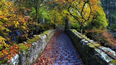 Stone Walk Path Between Colorful Autumn Trees Nature Hd Desktop