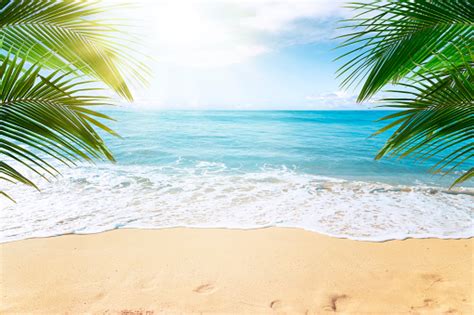 Download Tropical Beach Background Stock Photo Istock