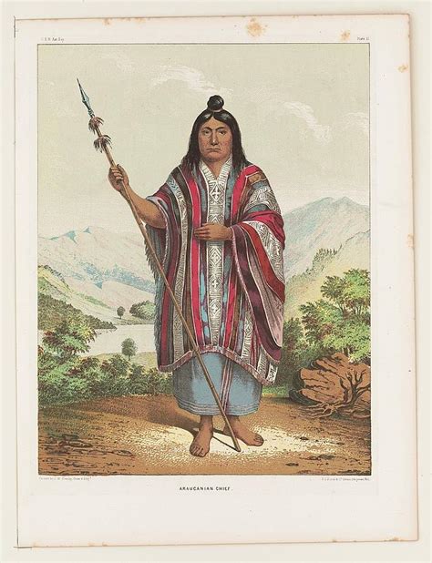 Araucanian Chief Photograph By Paul Fearn Pixels