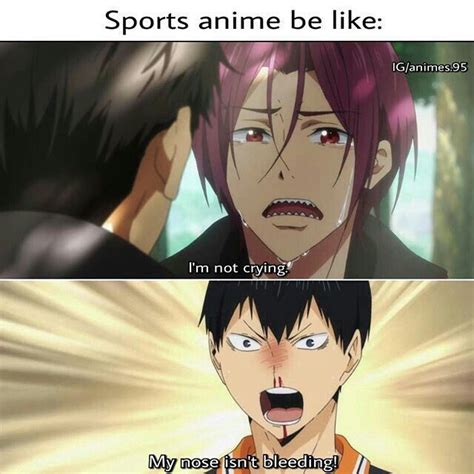 Looking to get some anime haikyuu quotes 2021. Memes and quotes for real OTAKU in 2020 | Haikyuu anime, Anime funny, Anime fandom