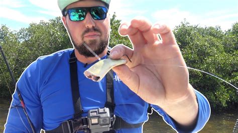 How To Catch Redfish Using Cut Pinfish Youtube