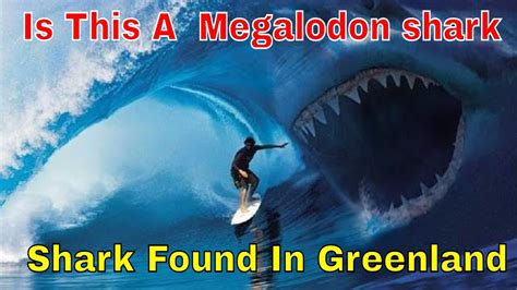Encounter With A Giant Shark Is This A Megalodon Shark Attack Youtube