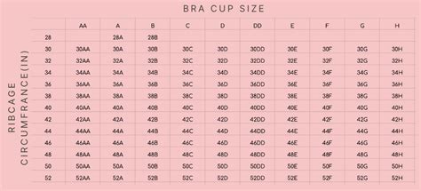 Bra Size Calculator Perfect Fit Every Time In Easy Steps Bra Space