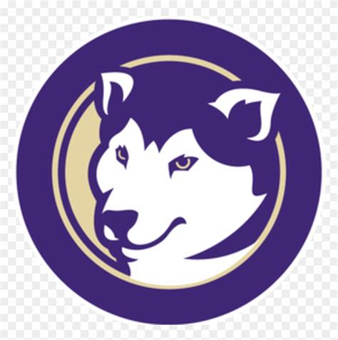 Husky Clipart University Washington Udub Huskies Hd Png Download