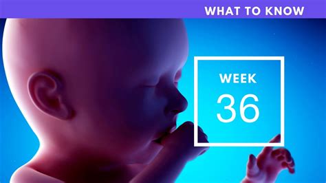 36 weeks pregnant what to know youtube