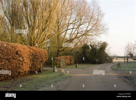 Quiet Country Lane In Buckinghamshire England Stock Photo Alamy