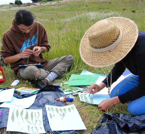 In the midst of guides you could enjoy now is pogil biology the spread of pathogens answers below. Spread of pathogens between species is predictable, research finds